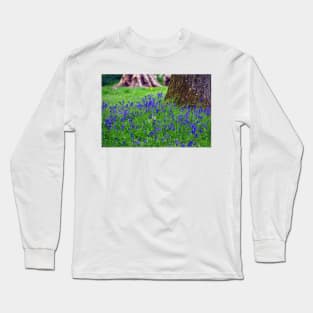 Bluebell Woods Bluebells Basildon Park Reading Berkshire Long Sleeve T-Shirt